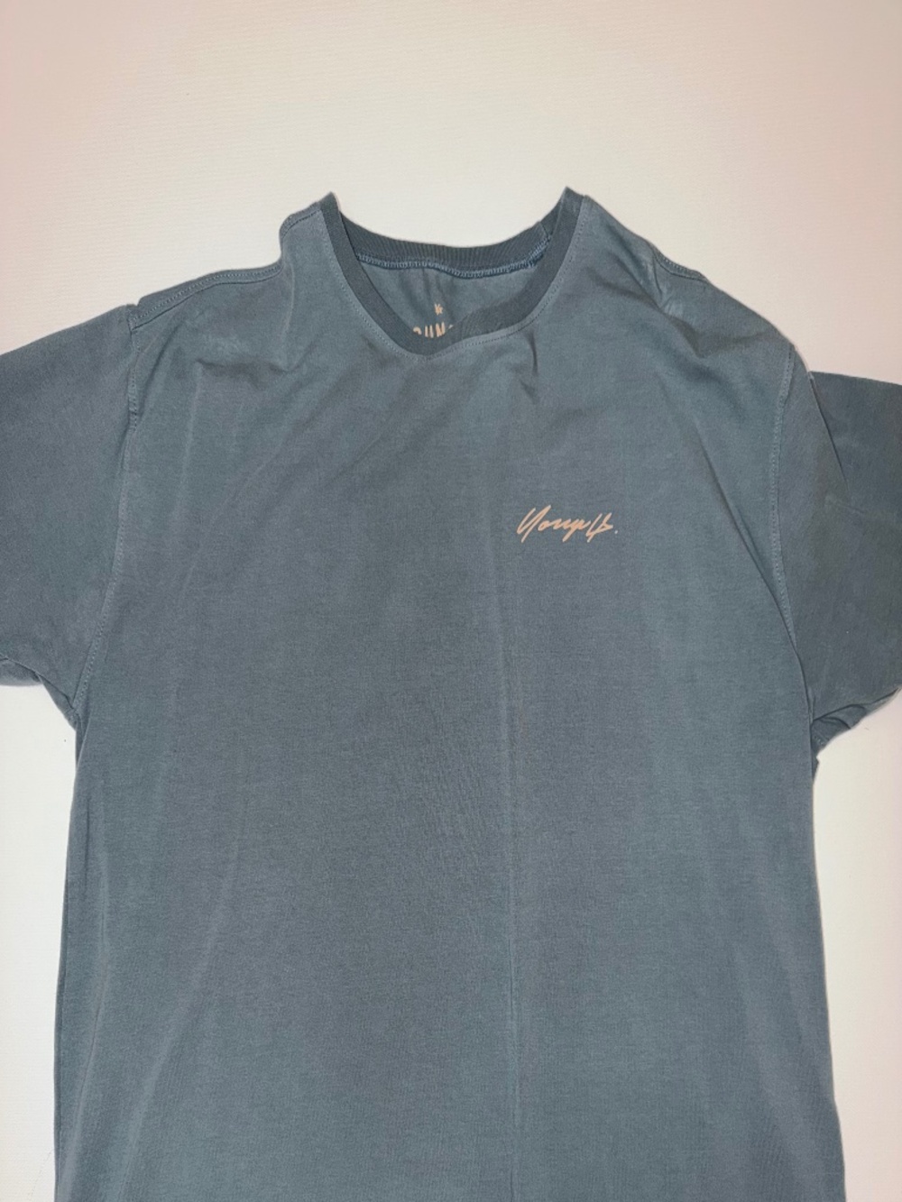 YoungLA Men’s Large Blue Gray Signature Logo Athletic Gym T-Shirt